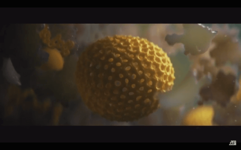 Screen Shot 2015-06-15 at 5.40.33 PM