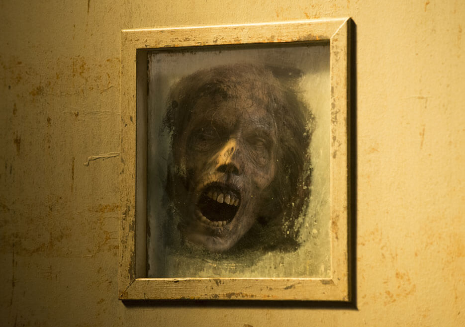 Decayed Walker wanting to get in