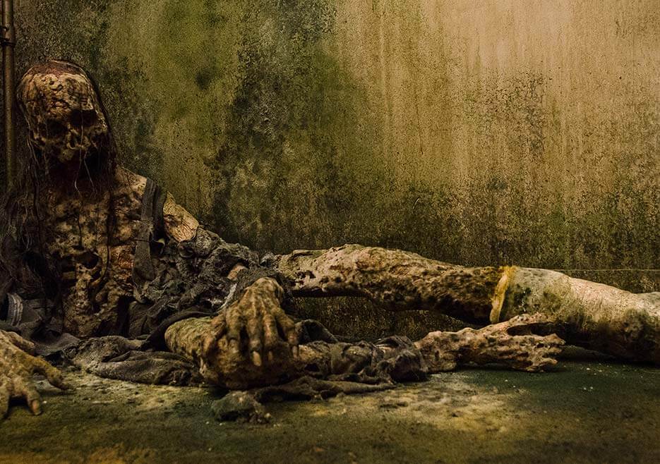 Walking Dead decaying zombie