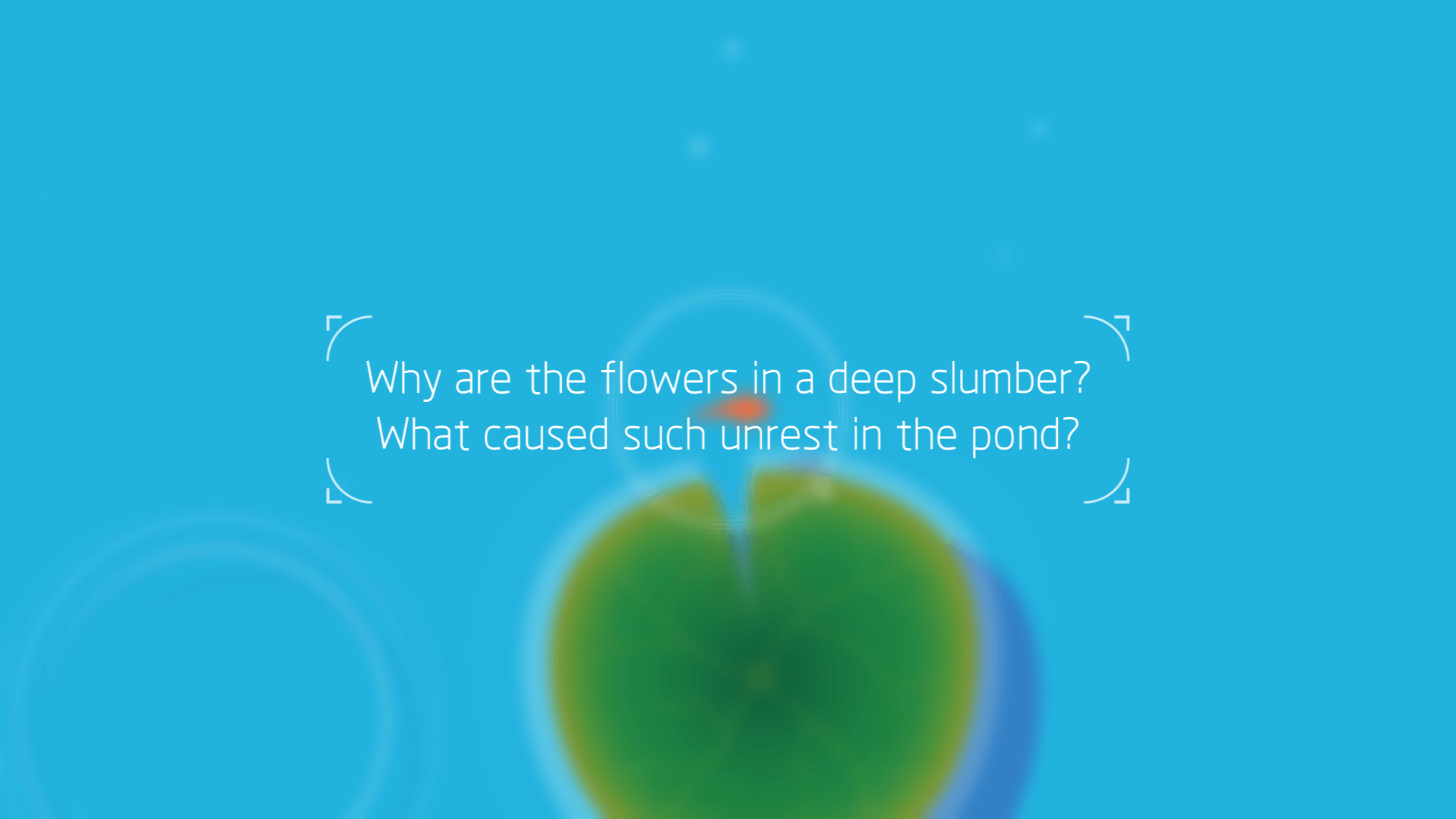 Help bring balance back to a withering koi pond.