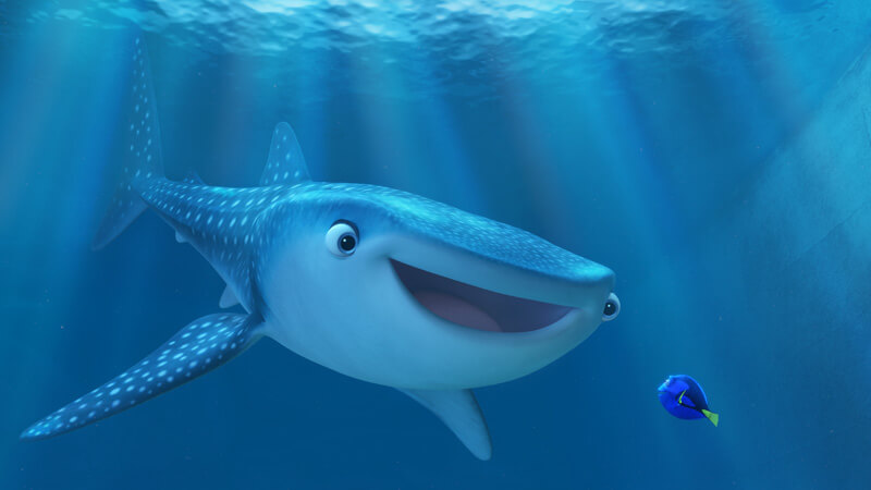 Dory meets new and long lost friends such as Destiny the Tiger Shark.