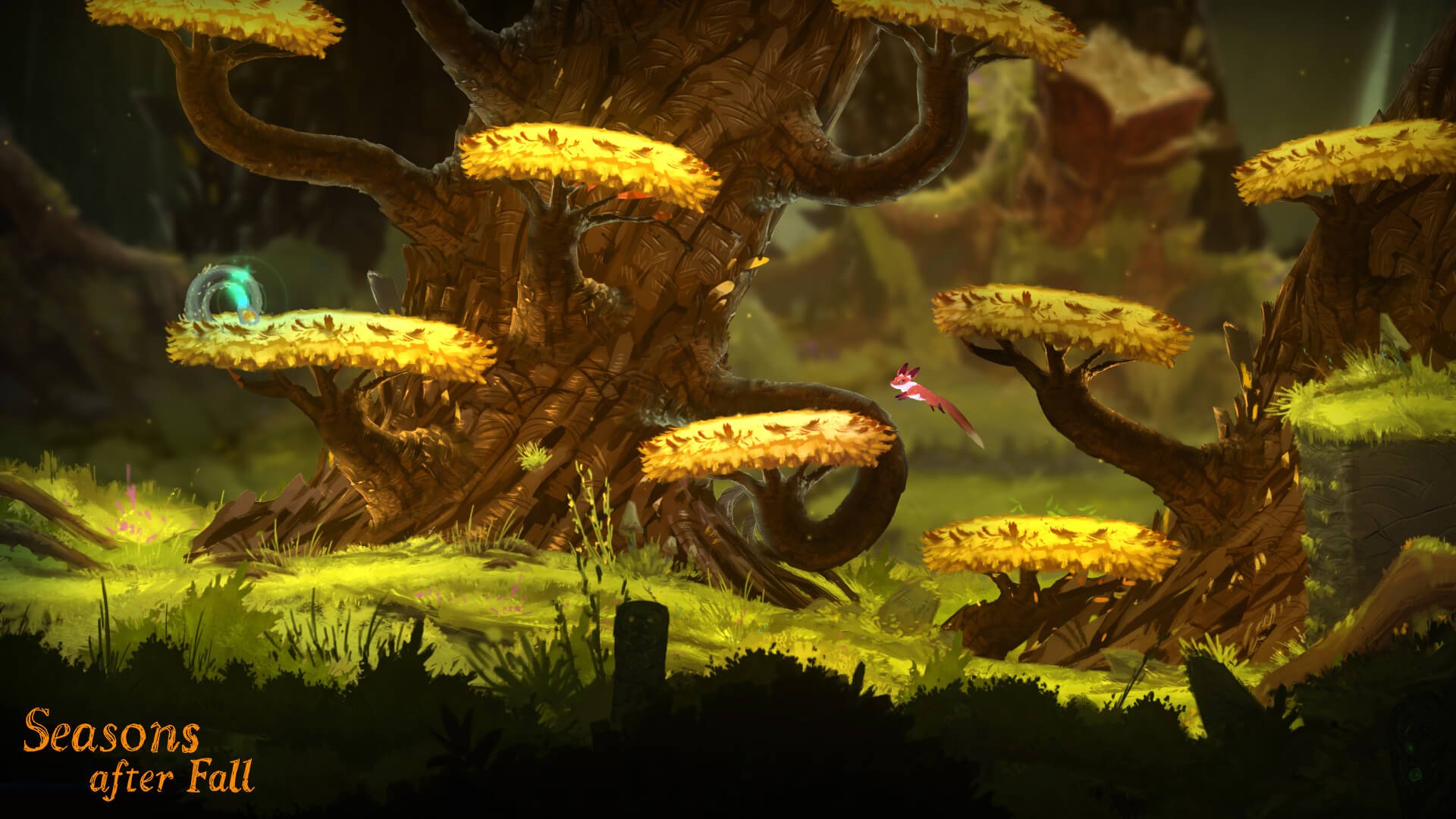 Climb those trees, little fox.