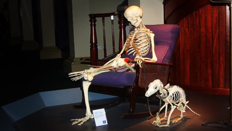 'I'll walk you when The Last Guardian comes out.'