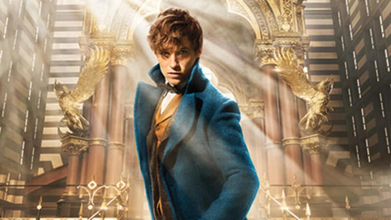Newt in Fantastic Beasts