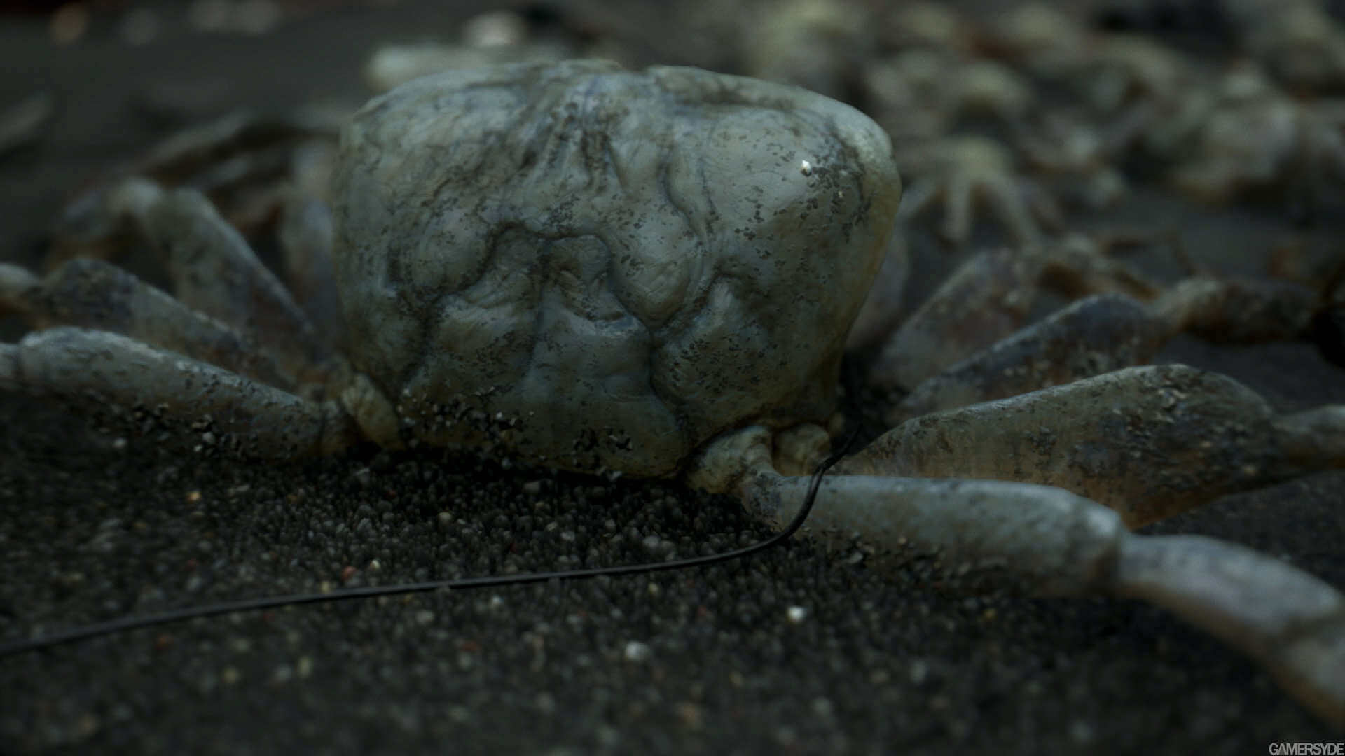 image_death_stranding-32159-3637_0004