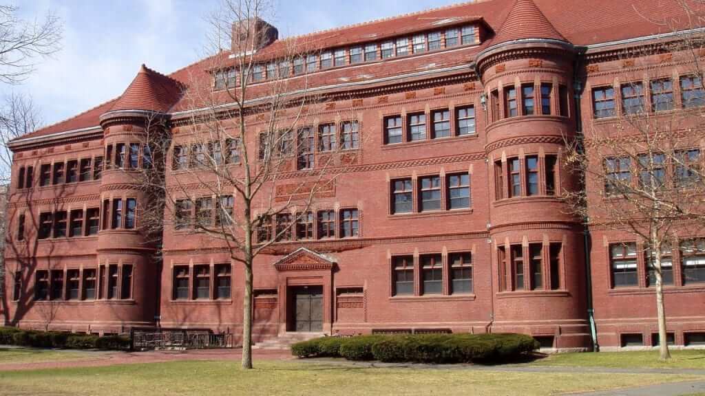 Harvard Tests A Brain Implant That Could Reverse Blindness Harvard