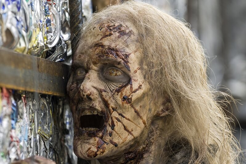 Rotting Walker on the Walking Dead