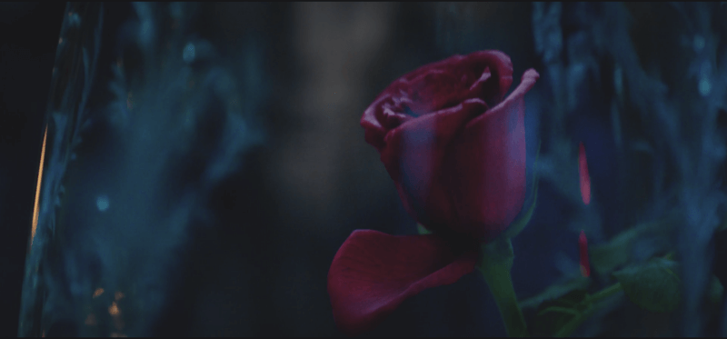 Beauty and the Beast