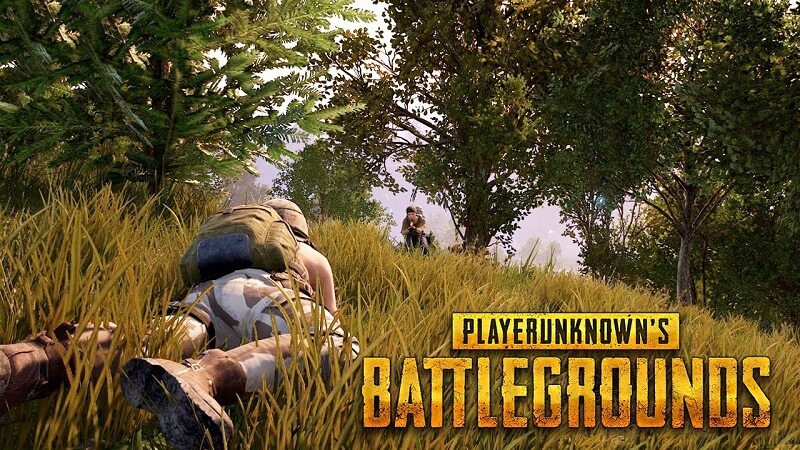 Player Unknown's Battlegrounds