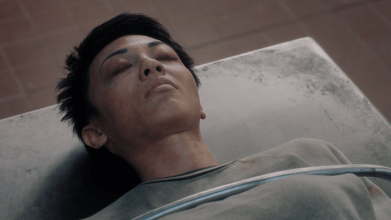 the gifted-fox-parallels