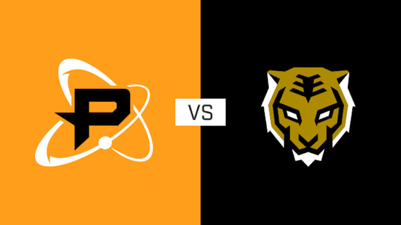 Overwatch League Fusion Dynasty