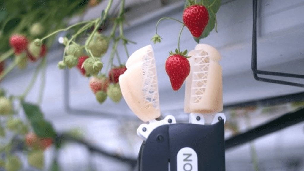Robots Will Save the World From Strawberry Shortages tree-hugging robot