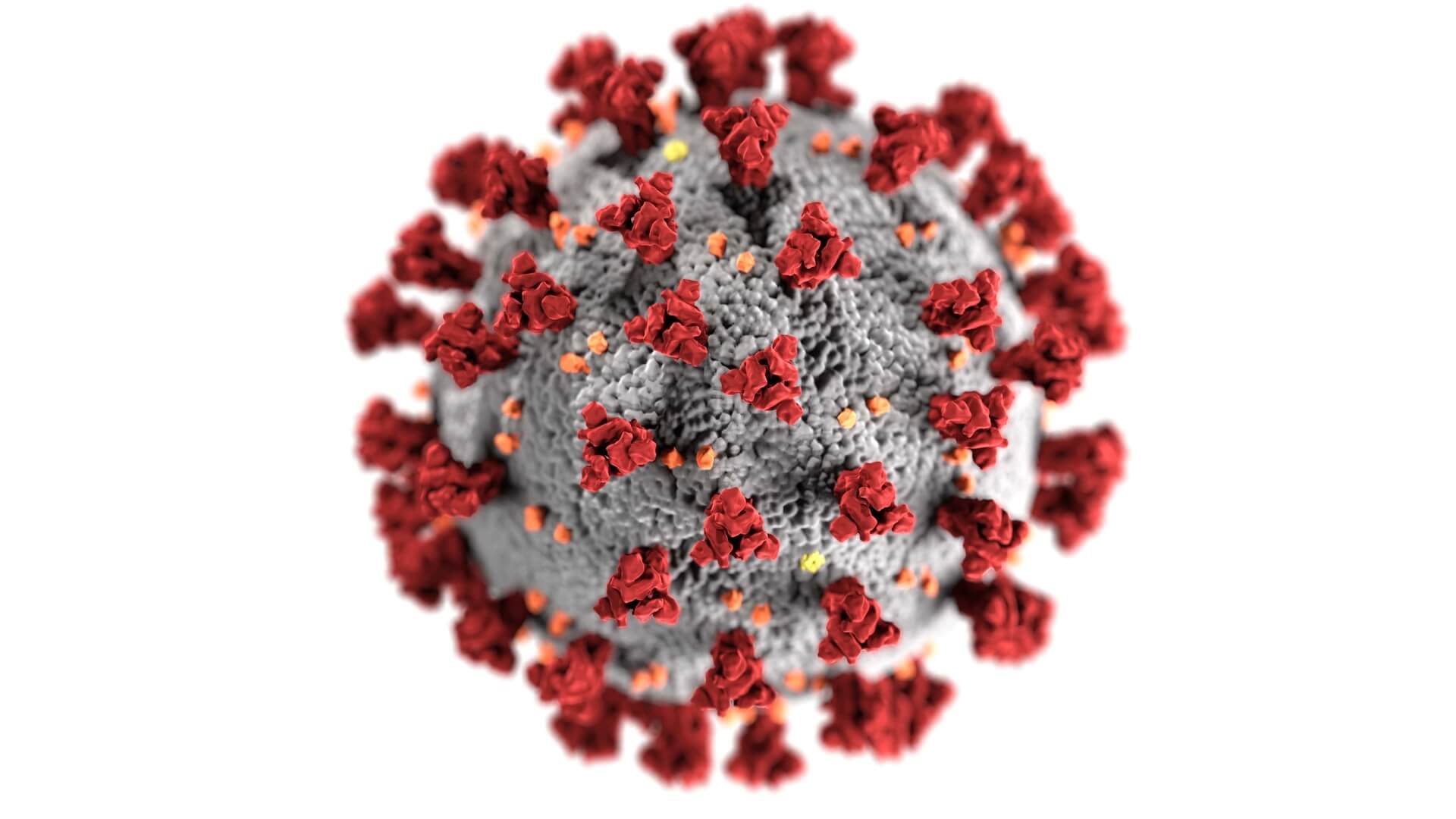 Coronavirus Weekend News Roundup #4 Coronavirus news