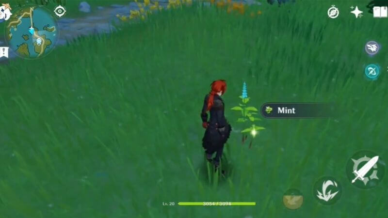 Mint location in Genshin Impact