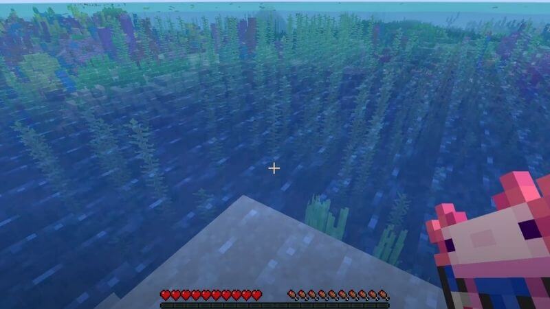 Minecraft Axolotl