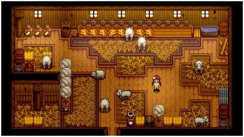 stardew valley sheep