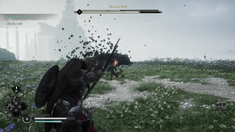 The Lost Wolf critical points