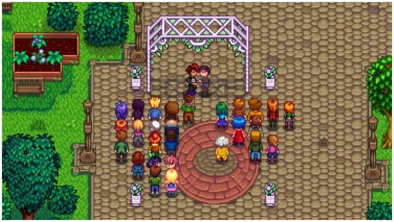 shane stardew valley marry