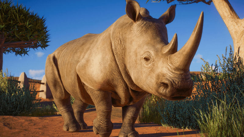 Planet Zoo: Africa Pack Rhino