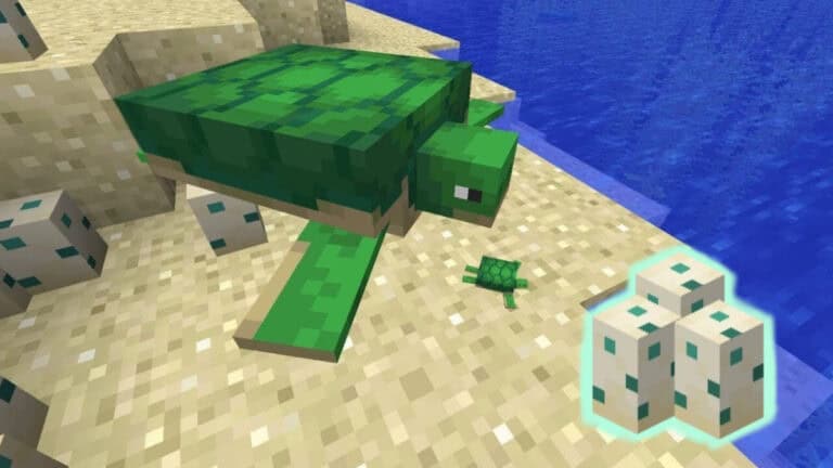 How to Get Sea Turtle Eggs in Minecraft A sea turtle on the beach with some eggs in Minecraft