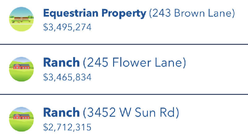 BitLife More Space Pets Properties