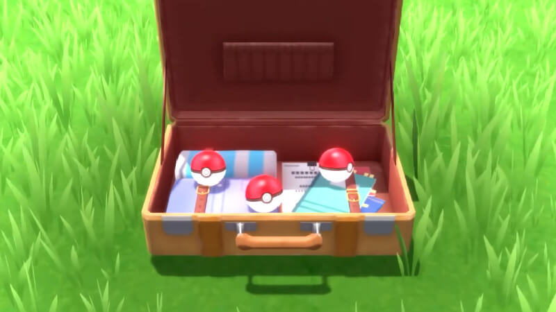 Pokemon Diamond Pearl Electrizer