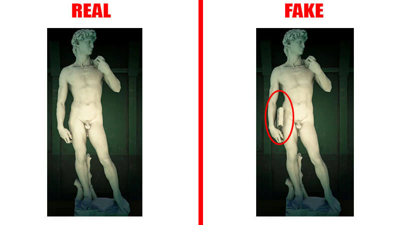 Statue of David, Michaelangelo fake