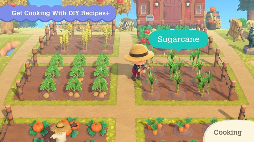 Animal Crossing 2.0: How to Get Sugarcane Animal Crossing 2.0: How to Get Sugarcane