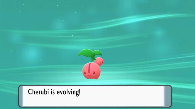 Pokémon BDSP Evolve Cherubi
