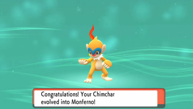 Pokémon BDSP Evolve Chimchar