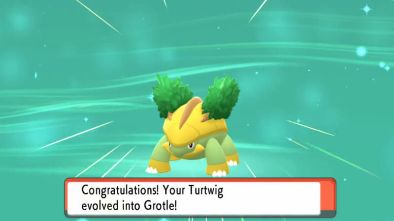 Pokémon BDSP Evolve Turtwig