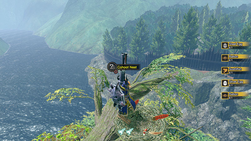 Monster Hunter Rise Secret Cohoot Nest in Kamura Village