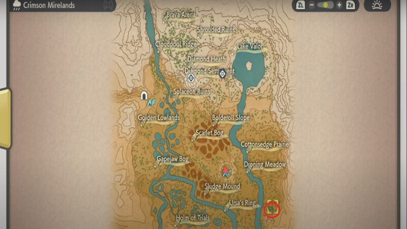 Pokémon Legends: Arceus Turtwig Location