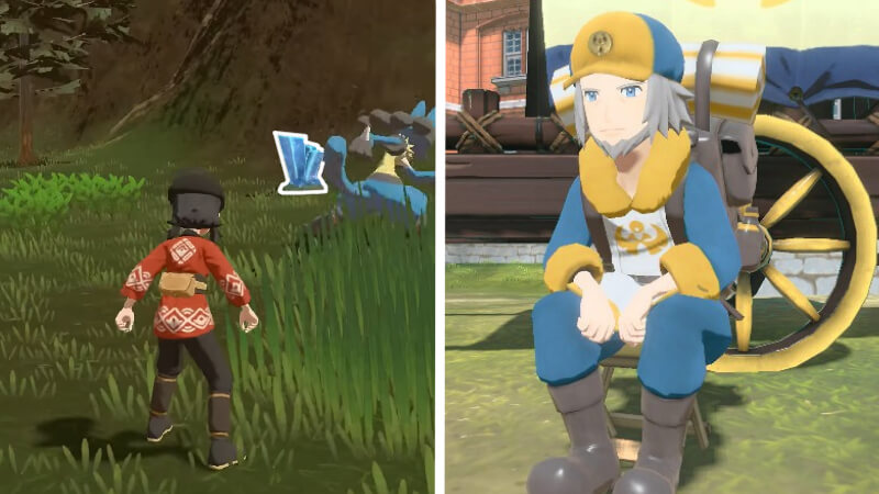 Pokémon Legends Arceus How to Get Peat Block