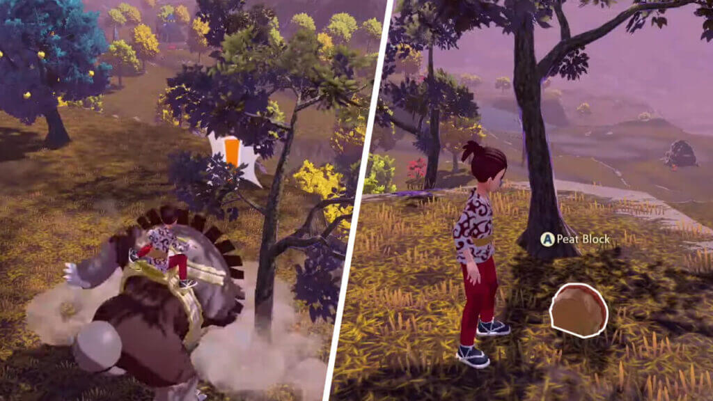 Pokemon Legends: Arceus – How to Get Peat Block Pokémon Legends Arceus Peat Block Location