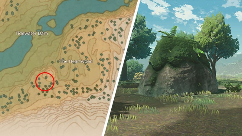 Pokemon Legends: Arceus - Where to Find the Mossy Rock