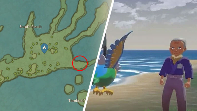 Pokemon Legends: Arceus - Where to Find Yorrich