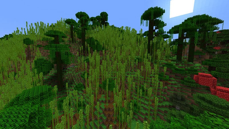 Bamboo Biome Seed