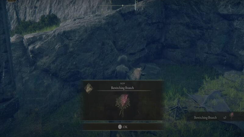 Elden Ring Bewitching Branches Consumable Item