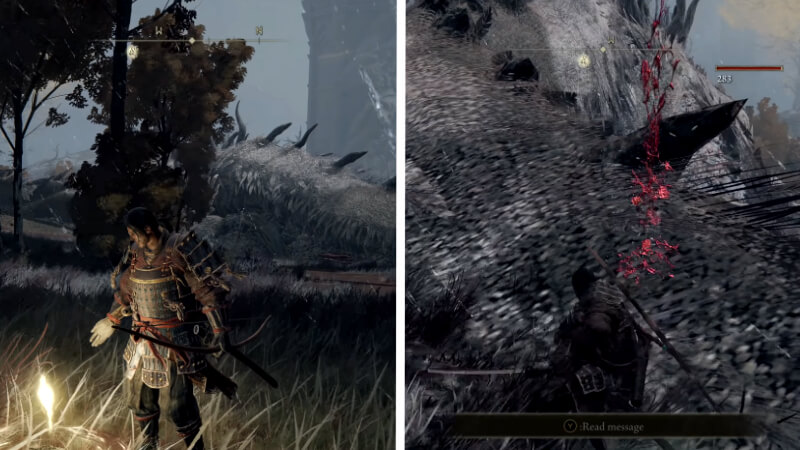 Defeating Elder Dragon Greyoll In Elden Ring