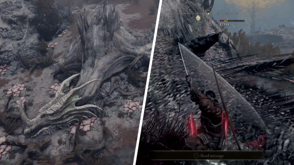 Elden Ring: How to Defeat Elder Dragon Greyoll Elden Ring How to Defeat Elder Dragon Greyoll