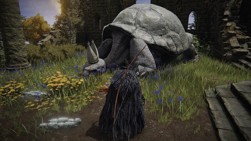 elden ring where to get celestial dew