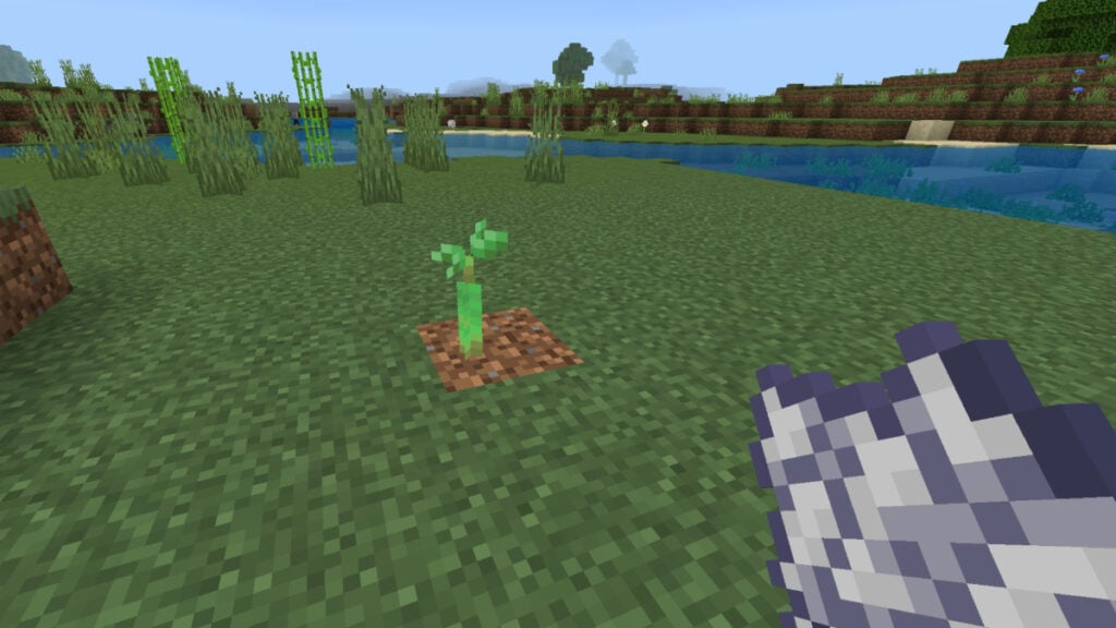 A mangrove tree sapling in Minecraft