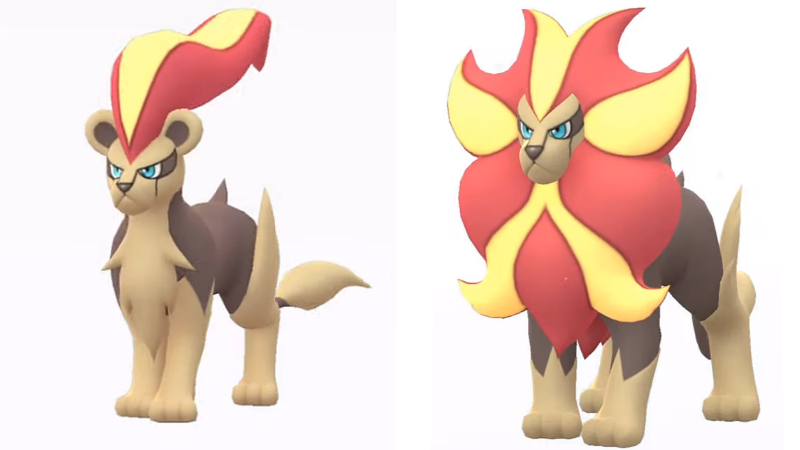 Evolving Litleo in Pokémon GO