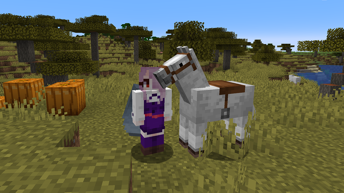 Saddled Horse in Minecraft