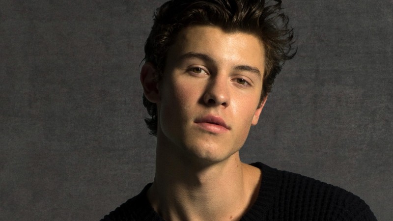 shawn mendes cancels wonder world tour