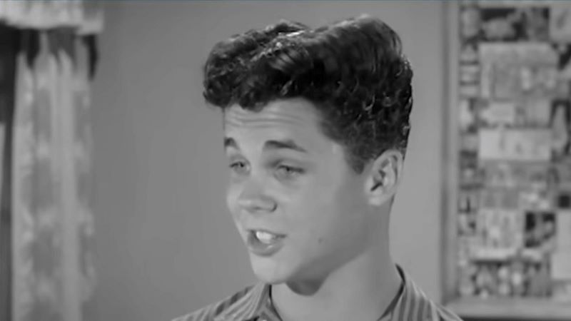 tony dow leave it to beaver