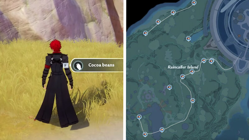 Cocoa Beans Farming Route Location In Tower Of Fantasy