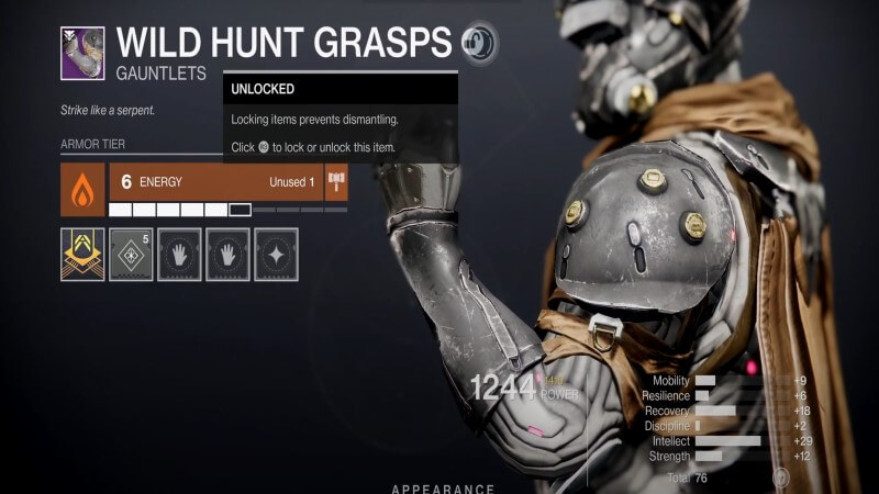 Destiny 2 Wild Hunt Legendary Armor