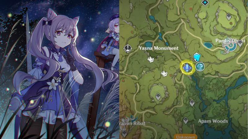 Apam Woods Underground Teleport Waypoint in Genshin Impact